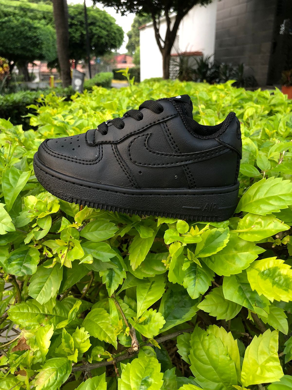 NIÑOS ZAPATILLA NIKE AIR FORCE 1 CORTE BAJO